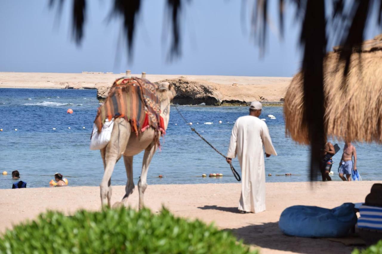 Sharm El Naga Resort And Diving Center Hurghada Exterior foto