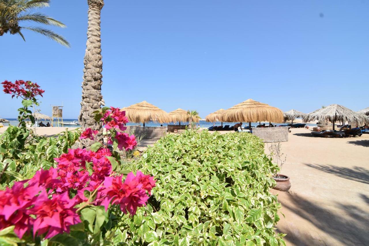 Sharm El Naga Resort And Diving Center Hurghada Exterior foto